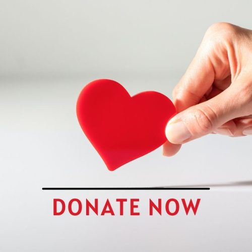 Donate today - Donation support Instagram post with a heart photo (1)
